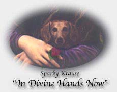 Sparky in Divine Hands